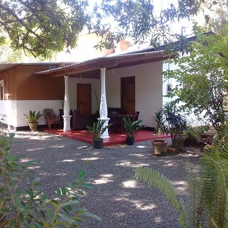 Tusker'S Paradise Safari Villa Удавалаве Екстериор снимка