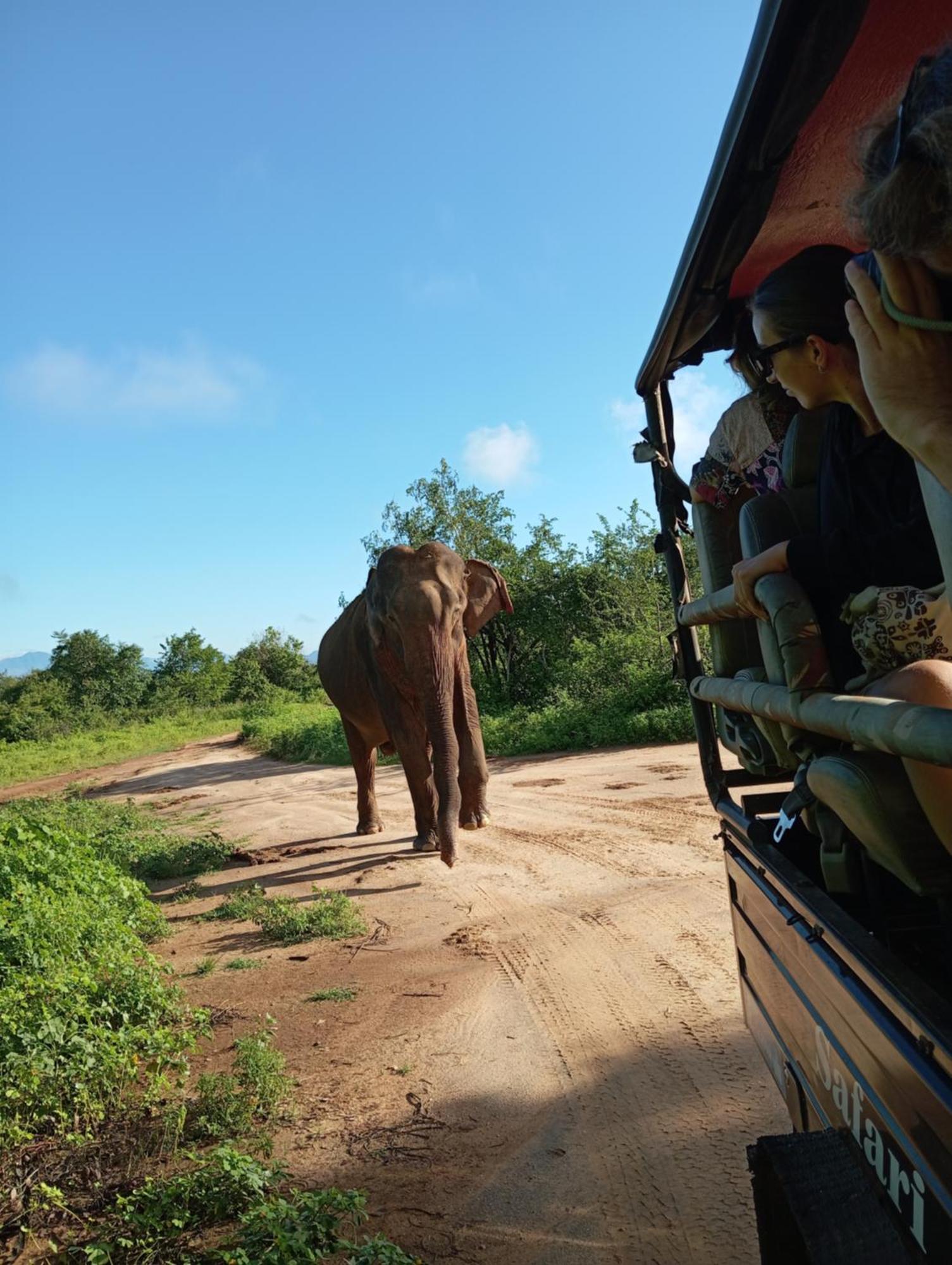 Tusker'S Paradise Safari Villa Удавалаве Екстериор снимка