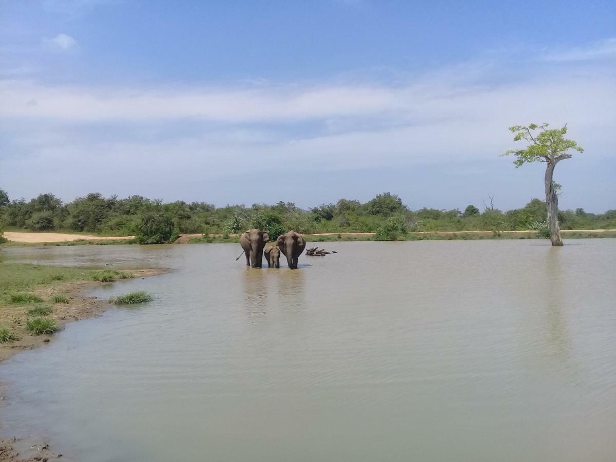 Tusker'S Paradise Safari Villa Удавалаве Екстериор снимка