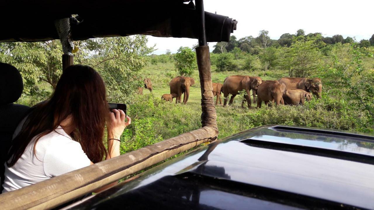 Tusker'S Paradise Safari Villa Удавалаве Екстериор снимка