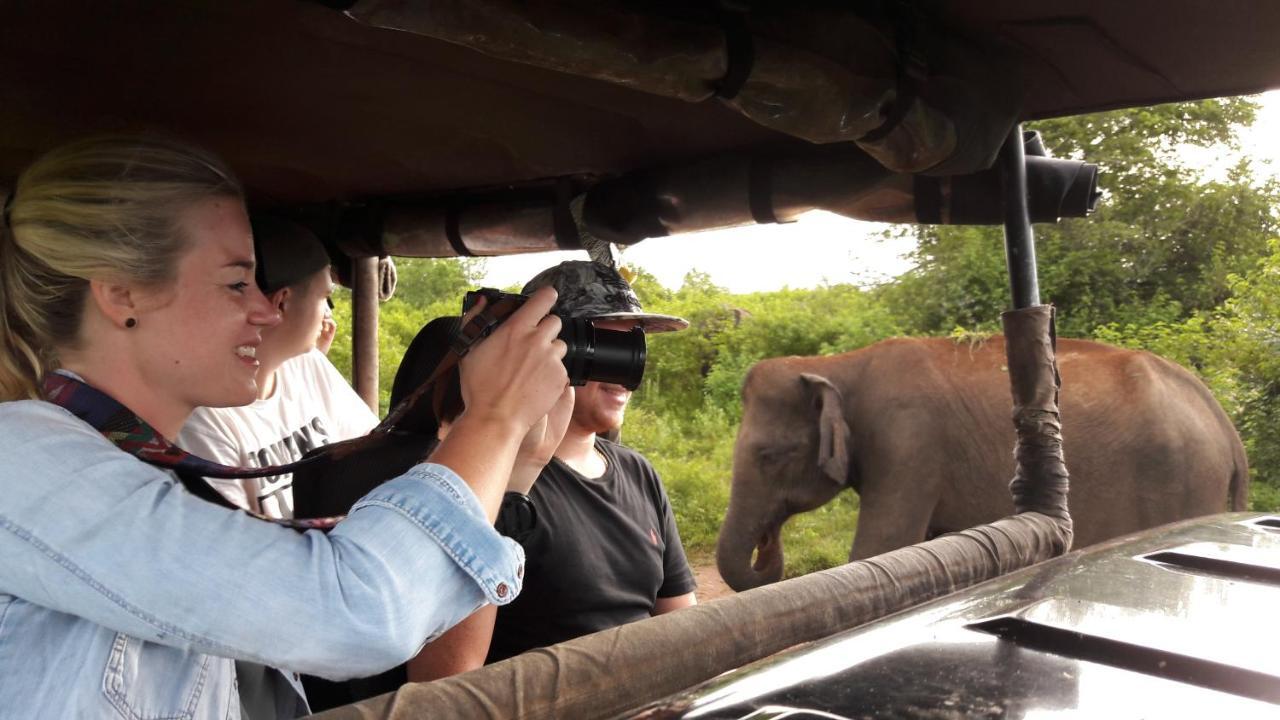 Tusker'S Paradise Safari Villa Удавалаве Екстериор снимка