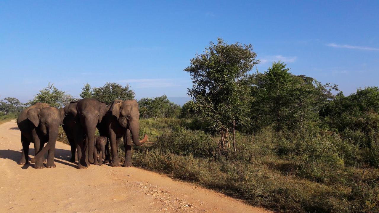 Tusker'S Paradise Safari Villa Удавалаве Екстериор снимка