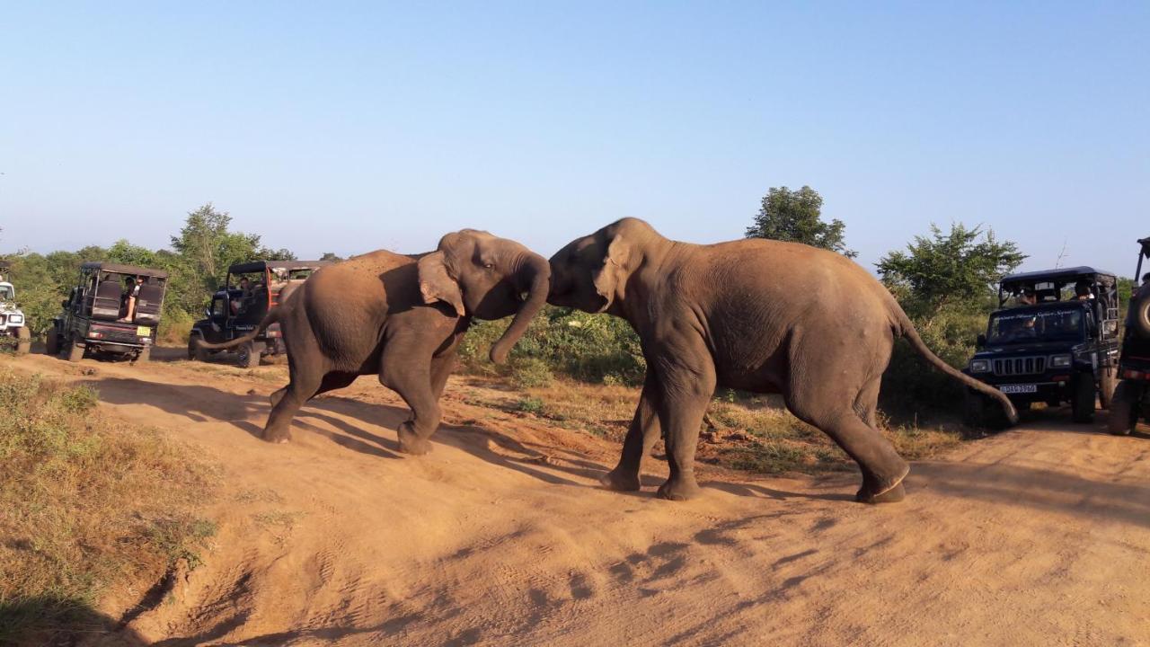Tusker'S Paradise Safari Villa Удавалаве Екстериор снимка
